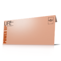 Envelopes - Business 4 Color Envelopes - Business 4 Color