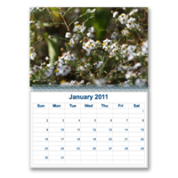 Calendars - Wall Calendars - Wall