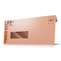 Envelopes - Window Envelopes - Window