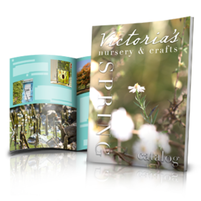 Booklets 8.5" x 11" Booklets 8.5" x 11"